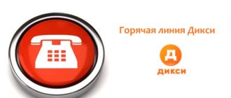 Горячая линия Дикси